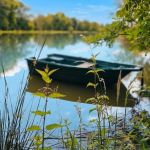 gite - Chez Dodo - LE PLANTAY - Ain