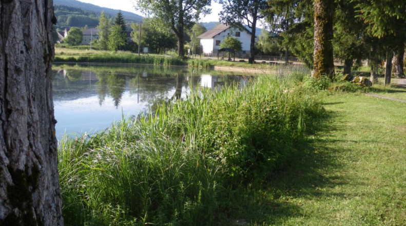 Champdor - Plan D'eau Communal Du Vieux Moulin