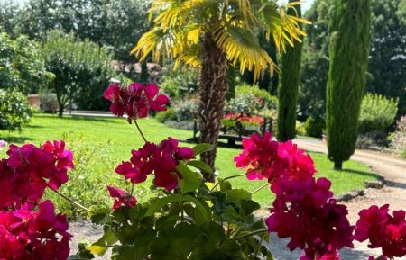 G&icirc;te n&deg;G225010 Lurcy - Ain - Jardin en &eacute;t&eacute;