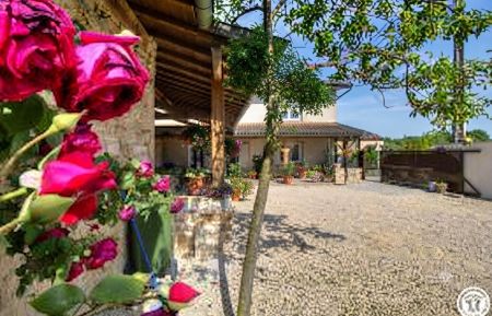 Gîte n°G175001 Gorrevod - Ain - photo