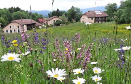 Gite de groupe n&deg;G204710 Le Poizat-Lalleyriat - Ain - photo