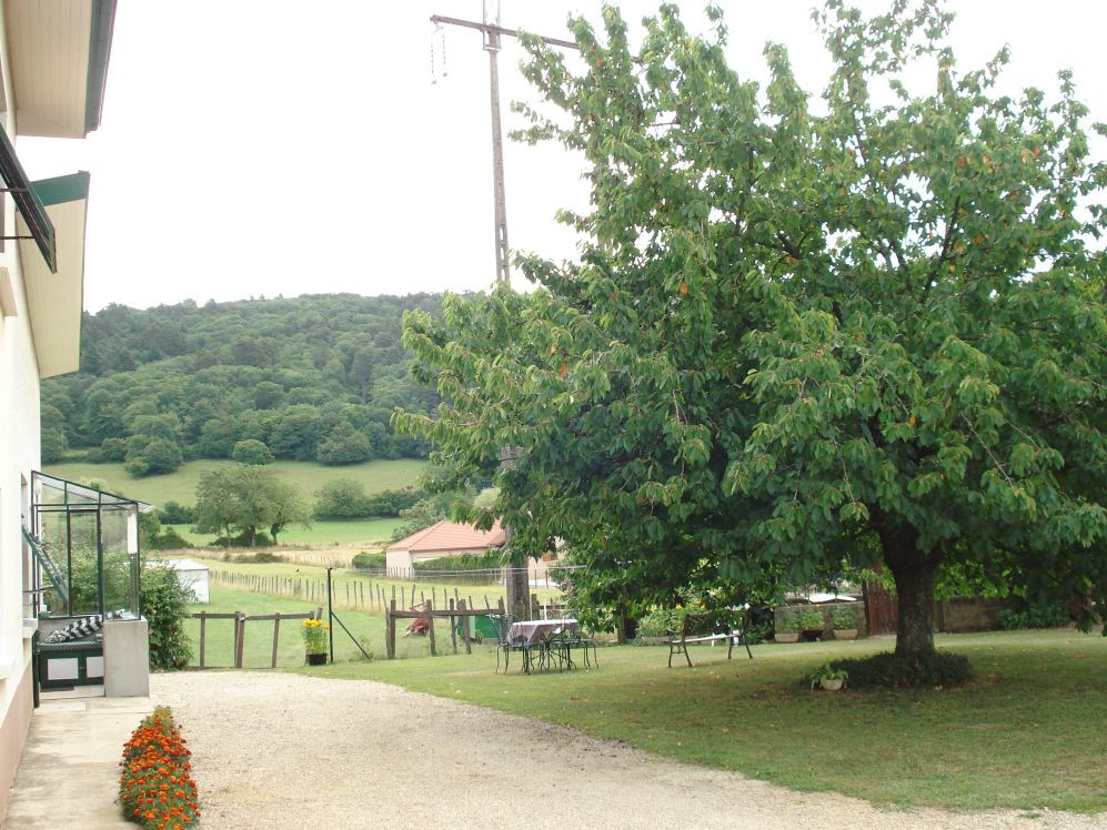 photo 0