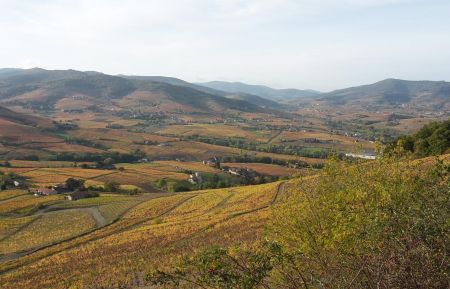 A proximité le Beaujolais en Automne - vue du Mont Brouilly Chambre d'hôtes n°G339510 Saint-Bernard - Ain - A proximité le Beaujolais en Automne - vue du Mont Brouilly