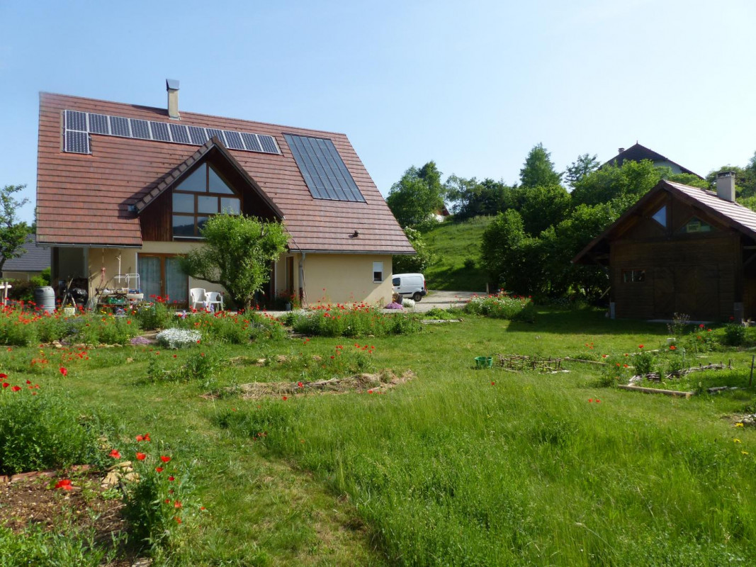 photo 0