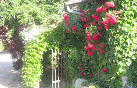 Entrée accueil propriétaire. Gîte n°G99002 Chazey-sur-Ain - Ain - Entrée accueil propriétaire.